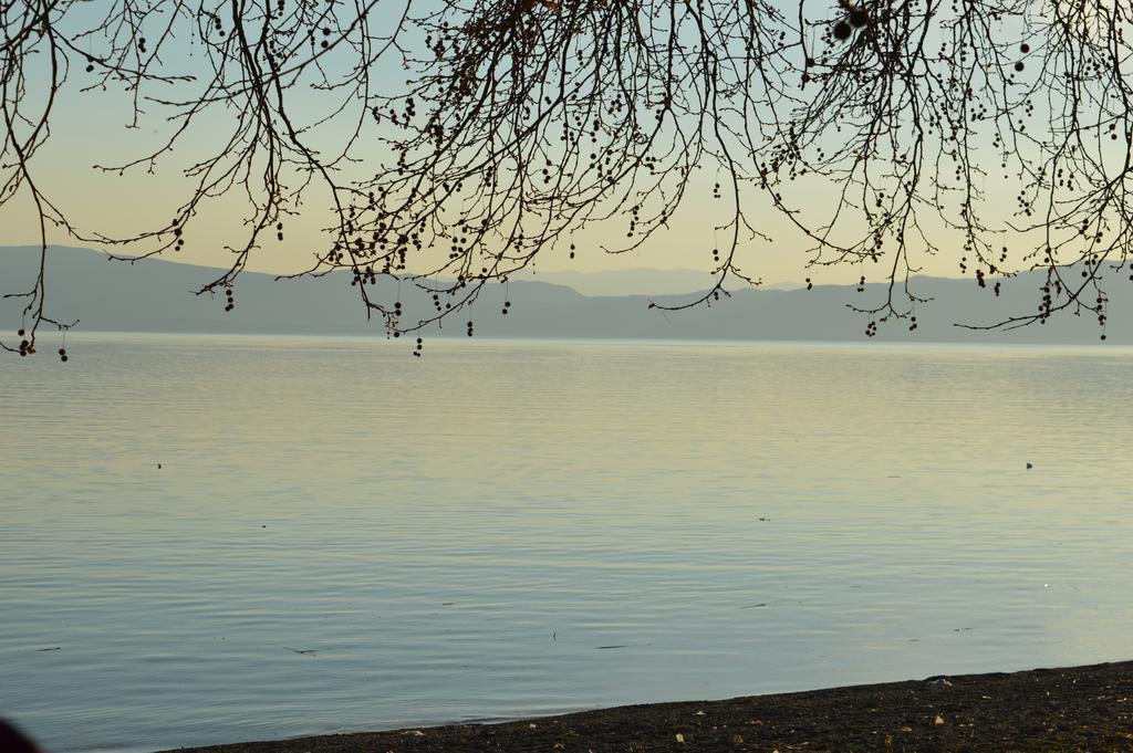 Vila Sara Ohrid Exteriör bild
