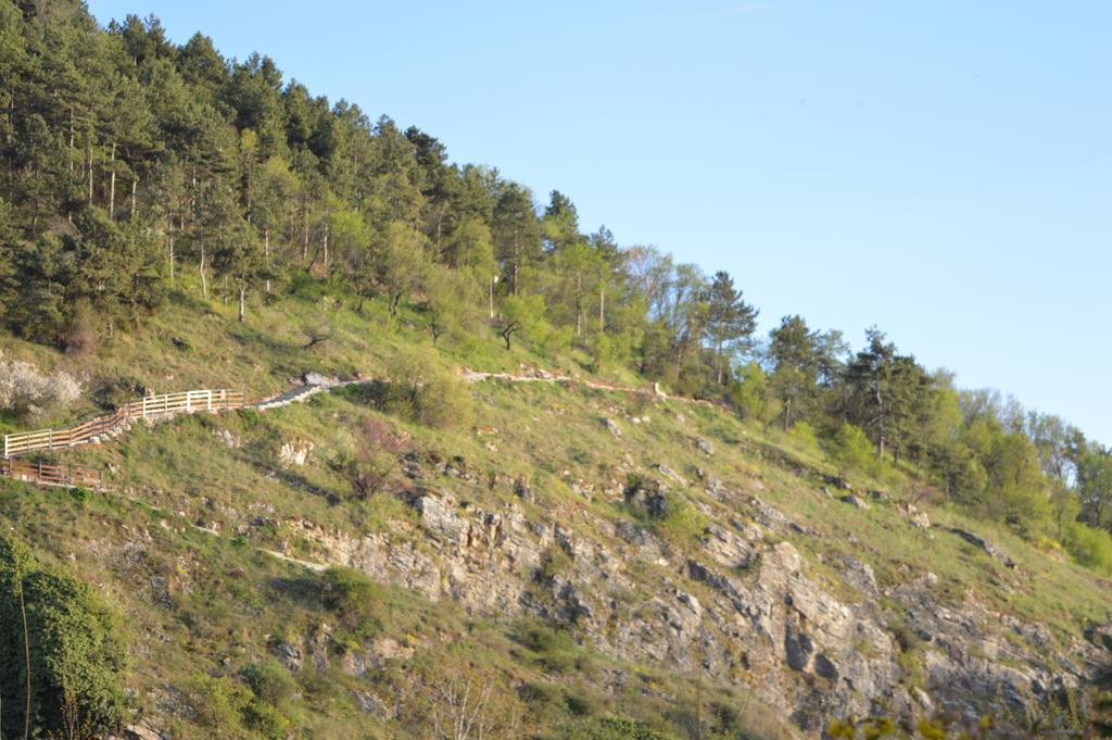 Vila Sara Ohrid Exteriör bild